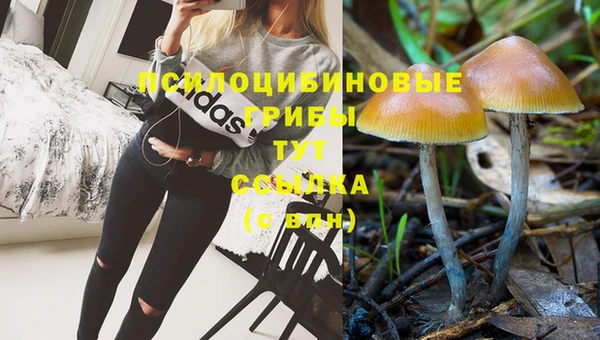 герыч Алзамай