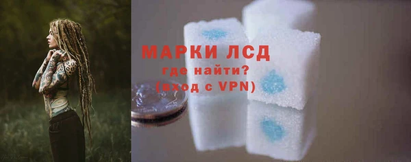 стаф Алексин