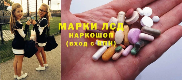 стаф Алексин