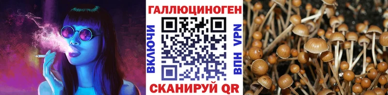 Псилоцибиновые грибы мухоморы  Мытищи 