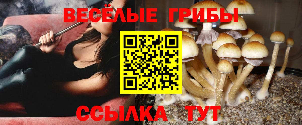 Псилоцибиновые грибы GOLDEN TEACHER Мытищи