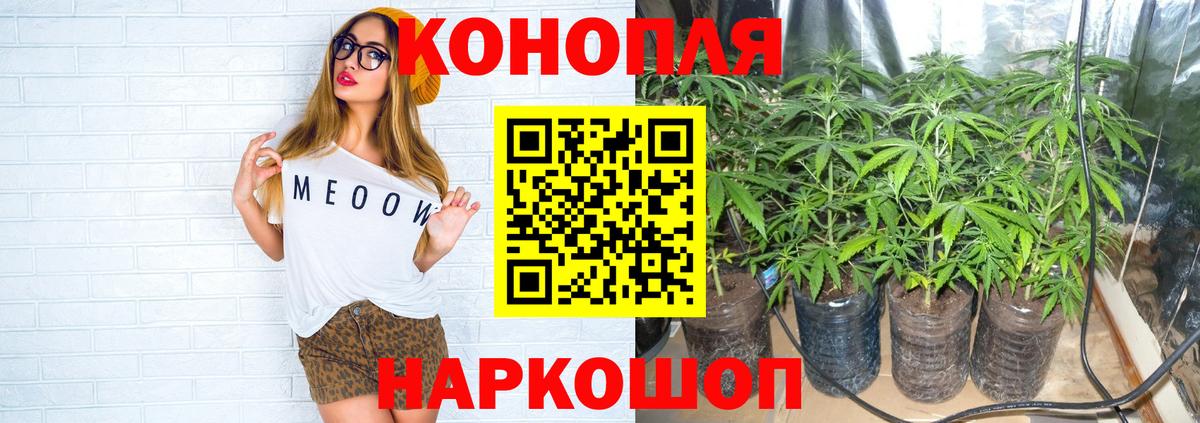 Шишки марихуана конопля Мытищи